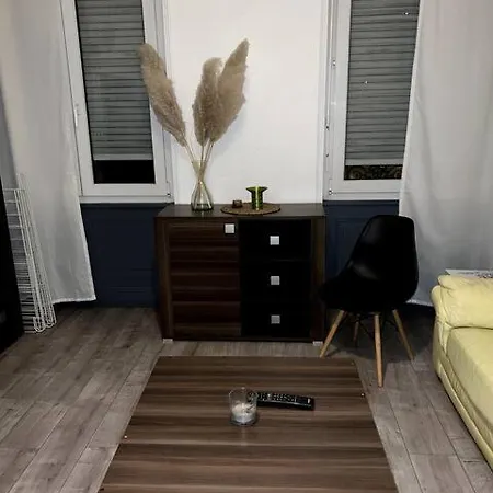 F5 Proche Centre 公寓 *